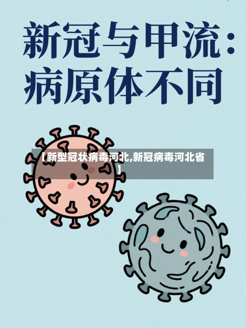 【新型冠状病毒河北,新冠病毒河北省】