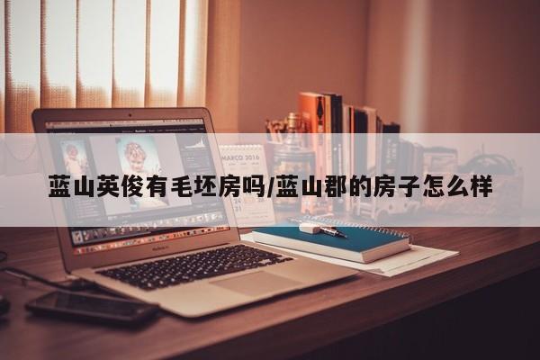 蓝山英俊有毛坯房吗/蓝山郡的房子怎么样