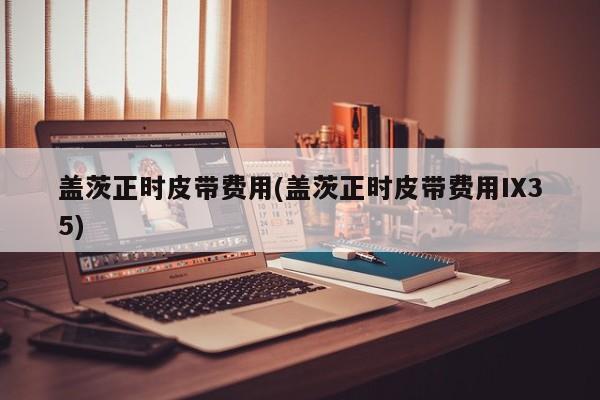 盖茨正时皮带费用(盖茨正时皮带费用IX35)